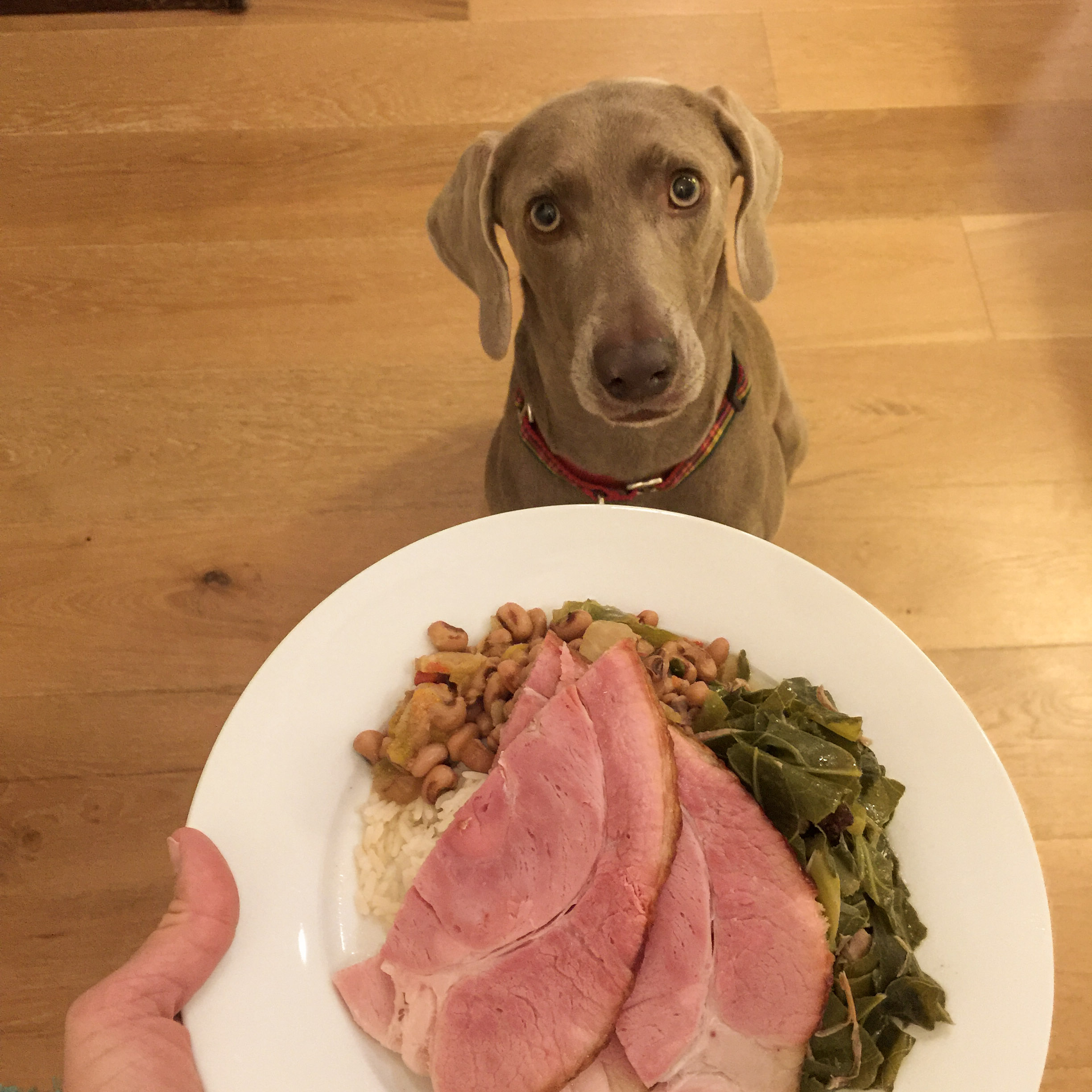 A dish of black-eyed peas and collard greens, a New Year's tradition